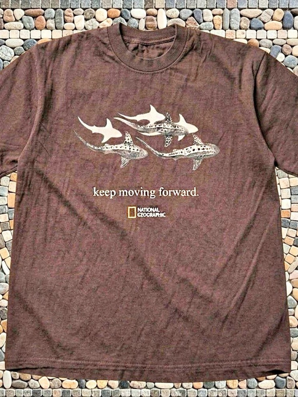 Gildan shirt, National Geographic Keep Moving Forward Shark Graphic Tee Brown